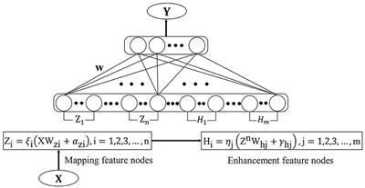 SaE-GBLS: an effective self-adaptive evolutionary optimized graph-broad model for EEG-based automatic epileptic seizure detection